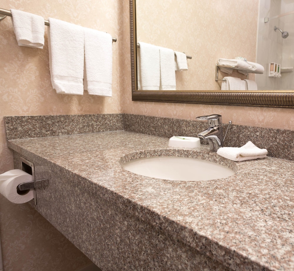 Suite, 1 King Bed with Sofa bed, Accessible, Refrigerator & Microwave (2 Rooms, Tub)