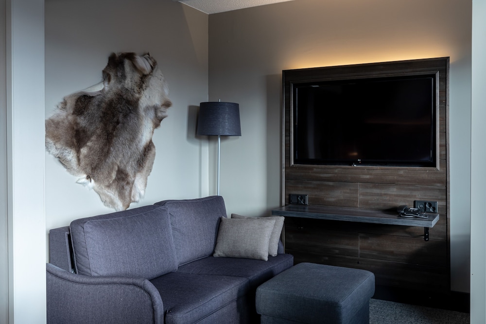 Lapland Junior Suite - Photo 8