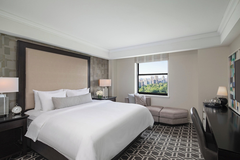 Room, 1 King Bed, Park View