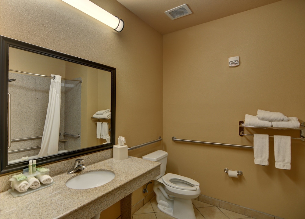 Standard Room, 1 King Bed, Accessible, Jetted Tub (Mobil) - Photo 4