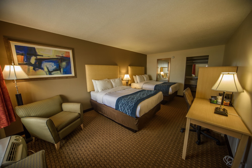 Standard Room, 2 Double Beds