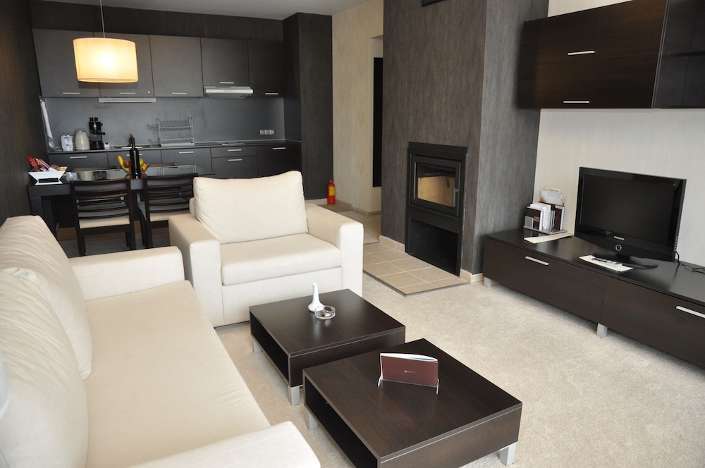 Executive Apartment - Photo 4