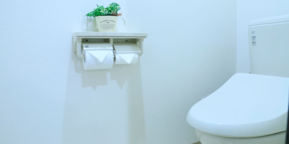 King Room,  Non Smoking, Private Bathroom (Up To 6 People)