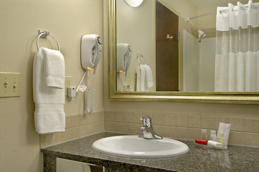 Suite, 1 King Bed, Non Smoking photo 3