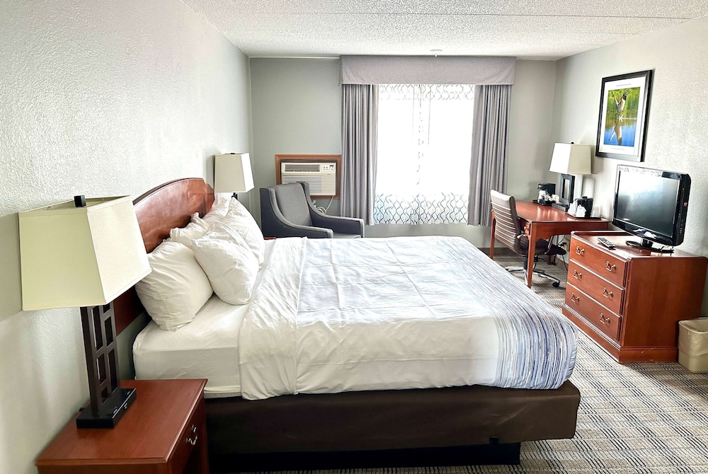 Room, 1 King Bed, Non Smoking - Photo 1