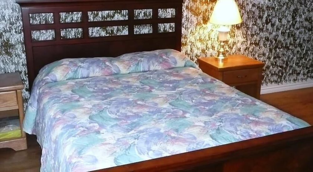 Studio, Multiple Beds photo 1