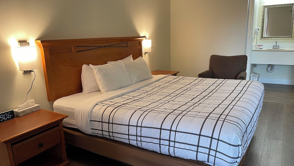 Suite, 1 King Bed photo 3