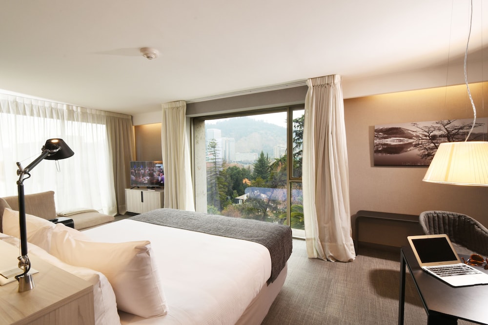 Premium Suite