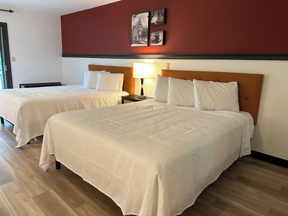 Premier Room 2 Double Beds photo 1