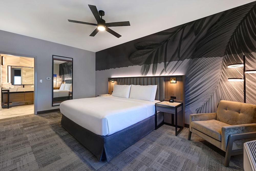 Studio, 1 King Bed, Accessible (Mob/Hearing, Roll-in Shower) photo 1
