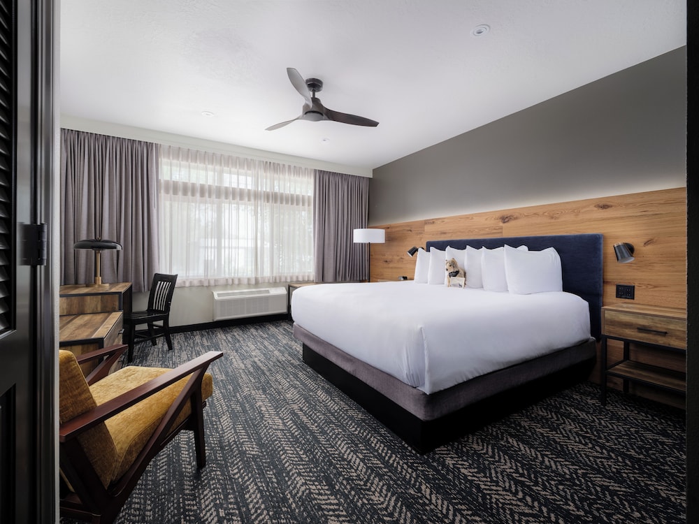 One Bedroom Suite w/King bed + bunk beds - Photo 2