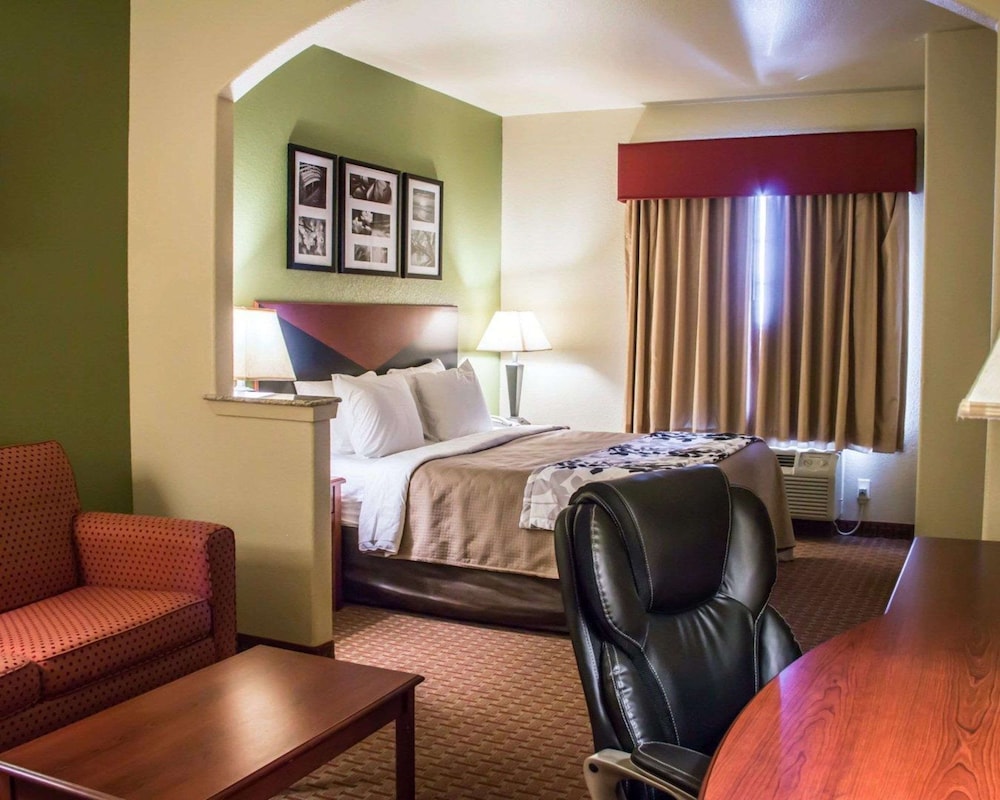 Suite, 1 King Bed with Sofa bed, Non Smoking - Photo 3