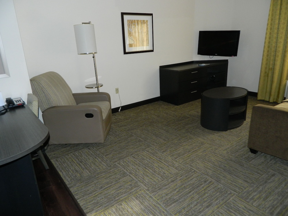 Studio Suite, 1 Queen Bed, Accessible (Mobility, Roll-In Shower) photo 3