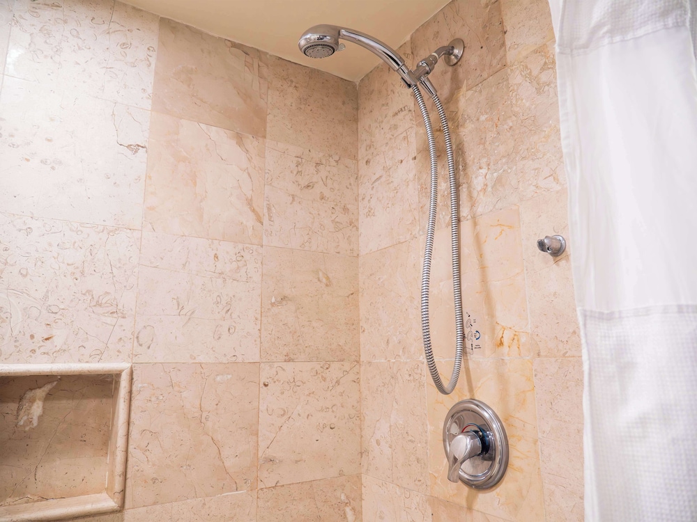 Room, 1 King Bed, Accessible (Roll-In Shower)