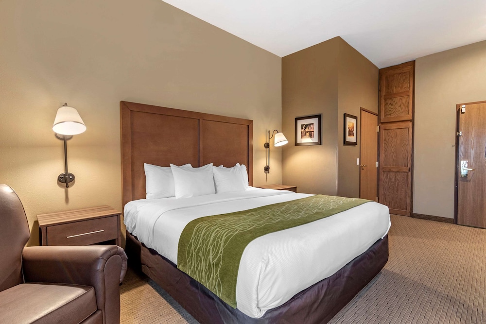 Standard Room, 1 King Bed, Accessible, Non Smoking photo 2
