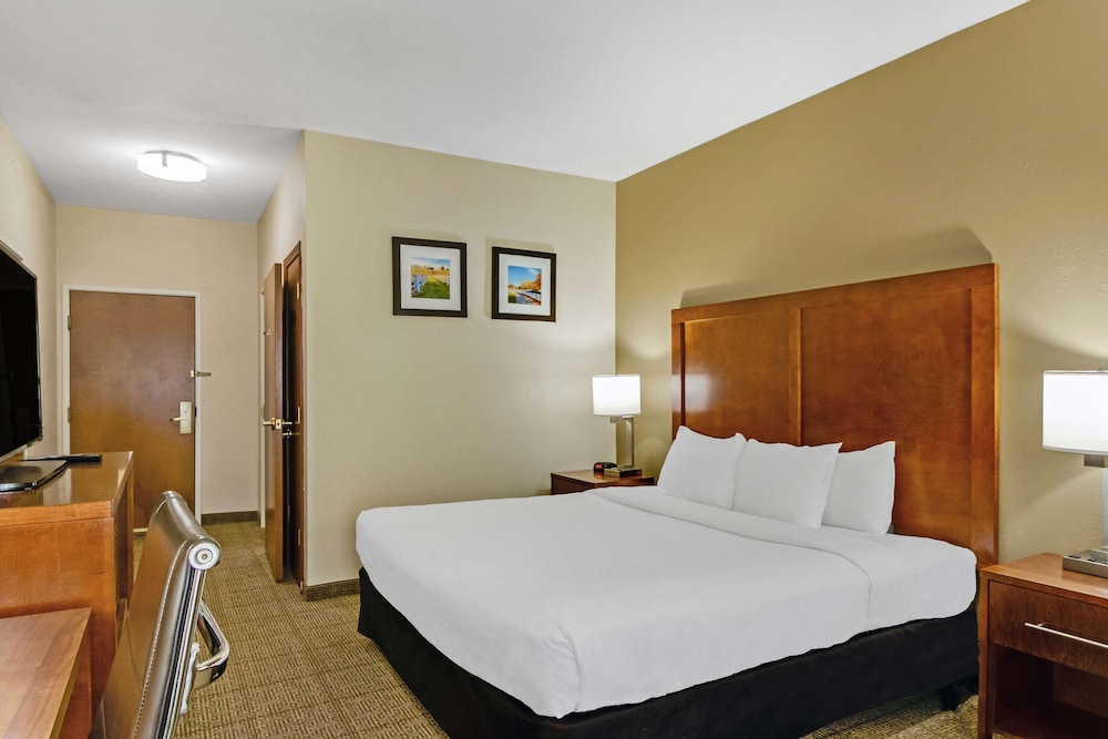 Room, 1 King Bed, Accessible, Non Smoking photo 3