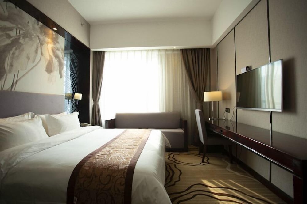 Comfort Single Room photo 2