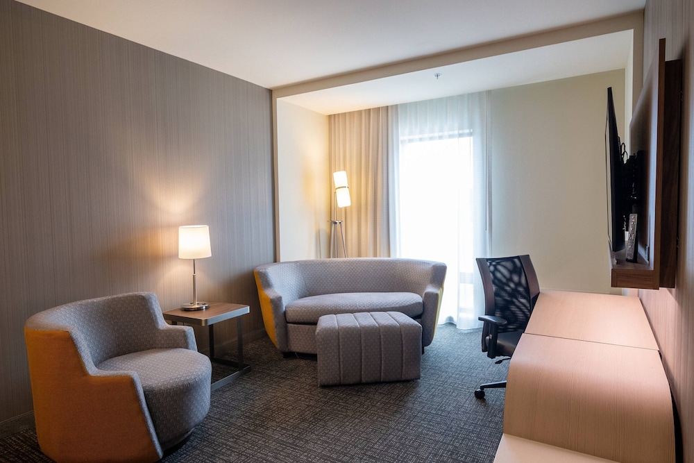 Suite, 1 King Bed with Sofa bed
