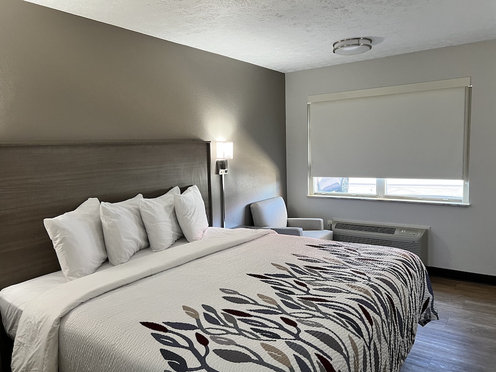 Deluxe Room, 1 King Bed, Non Smoking - Photo 5