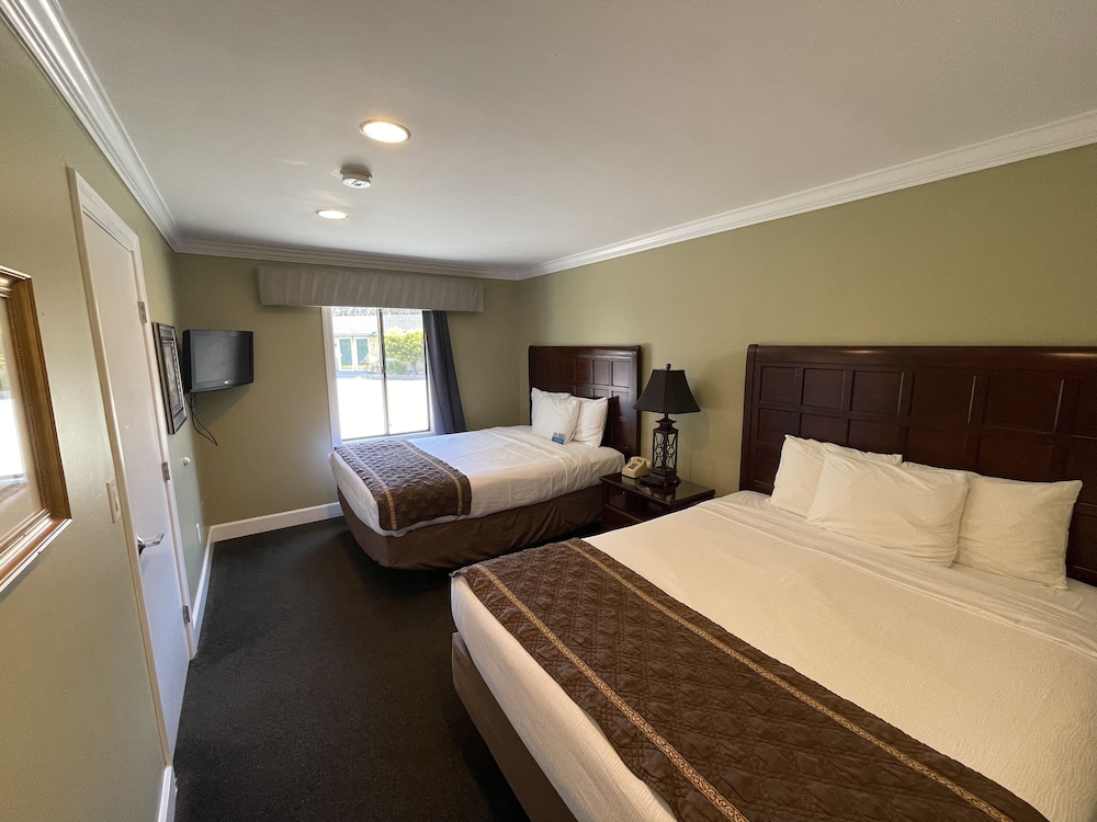 Mini Suite (Living Room, Full Kitchen, Bathroom)