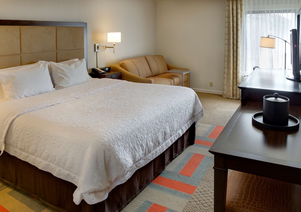 Room, 1 King Bed with Sofa bed, Accessible (Hearing) - Photo 3