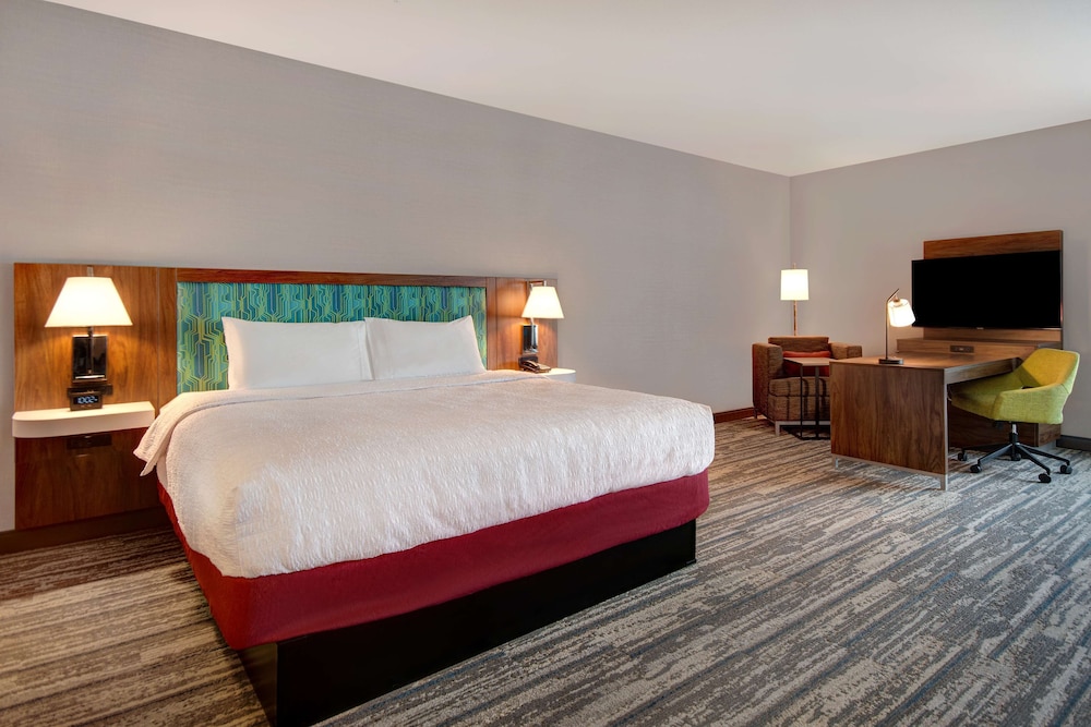 Studio, 1 King Bed (Mobility & Hearing, Roll-in Shower) - Photo 2