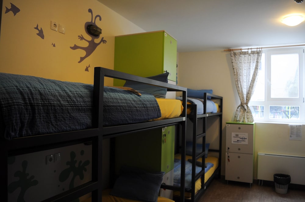 Shared Dormitory (8 Beds) photo 3