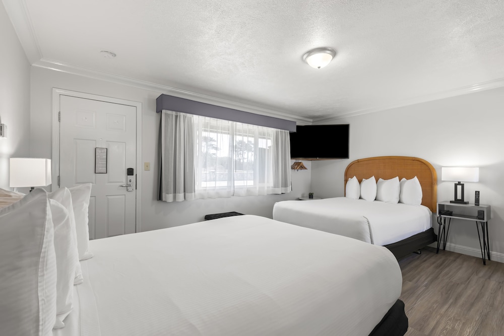 Kitchenette Room with View (Pet Friendly) photo 3