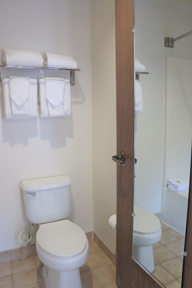 Standard Suite, Multiple Beds (Studio Room (No Pets)) - Photo 6