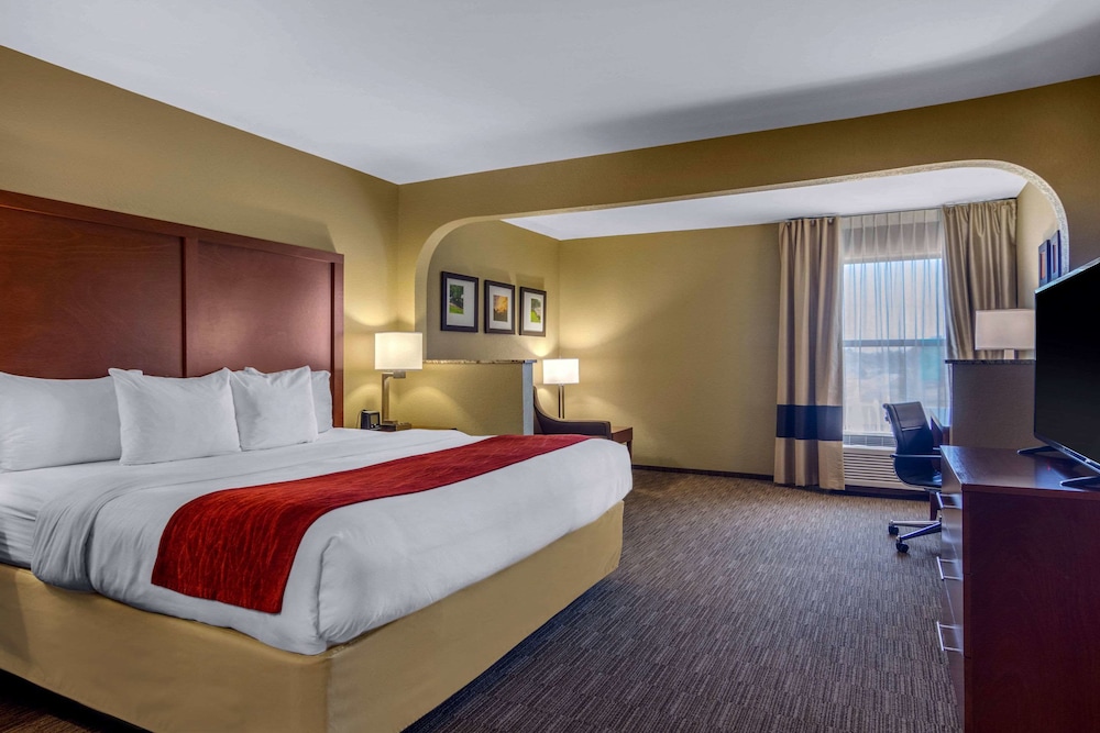 Room, 1 King Bed, Non Smoking photo 1