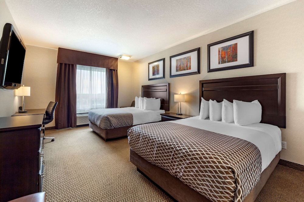 Standard Room, 2 Queen Beds, Non Smoking, Refrigerator & Microwave (Shower Only)