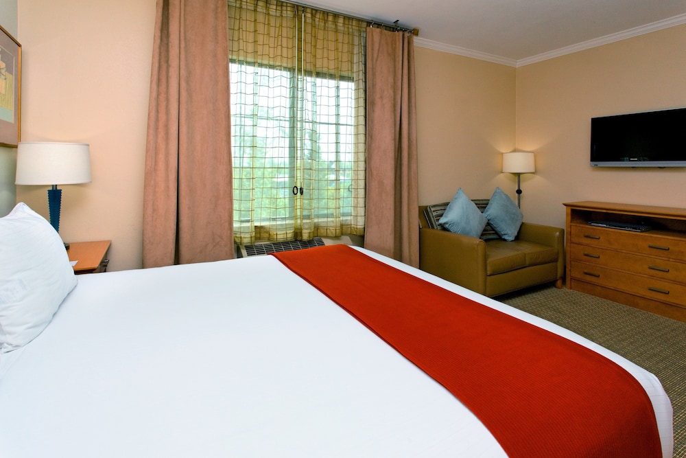 Suite, 1 King Bed - Photo 3