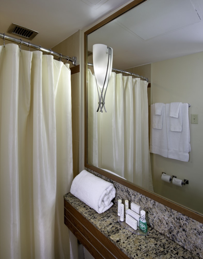 Suite, 1 Bedroom - Photo 5