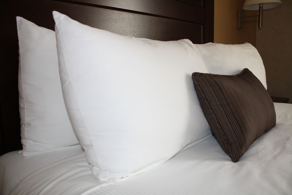 Room, 1 Queen Bed photo 2