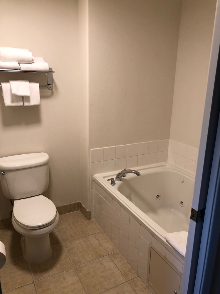 Suite, 1 Bedroom - Photo 3