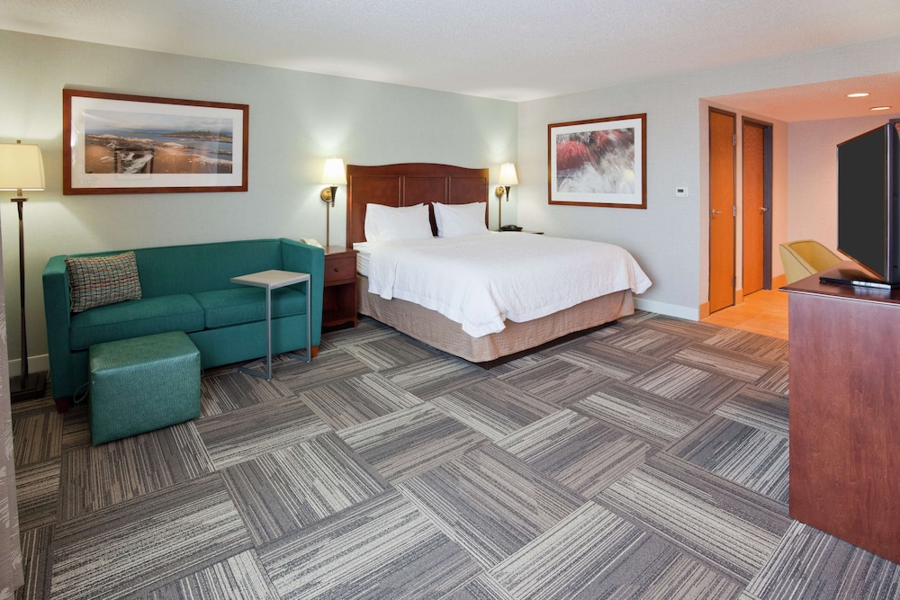 Room, 1 King Bed, Accessible, Lake View (Hearing) - Photo 1