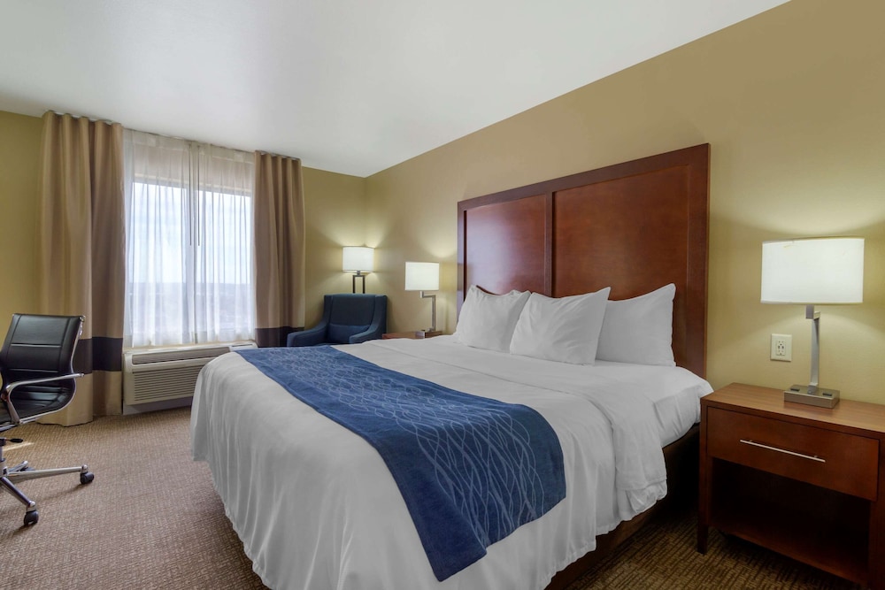 Standard Room, 1 King Bed, Non Smoking photo 1