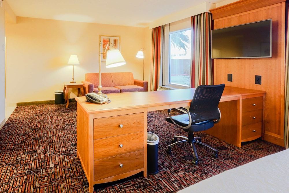 Studio Suite, 1 King Bed - Photo 4
