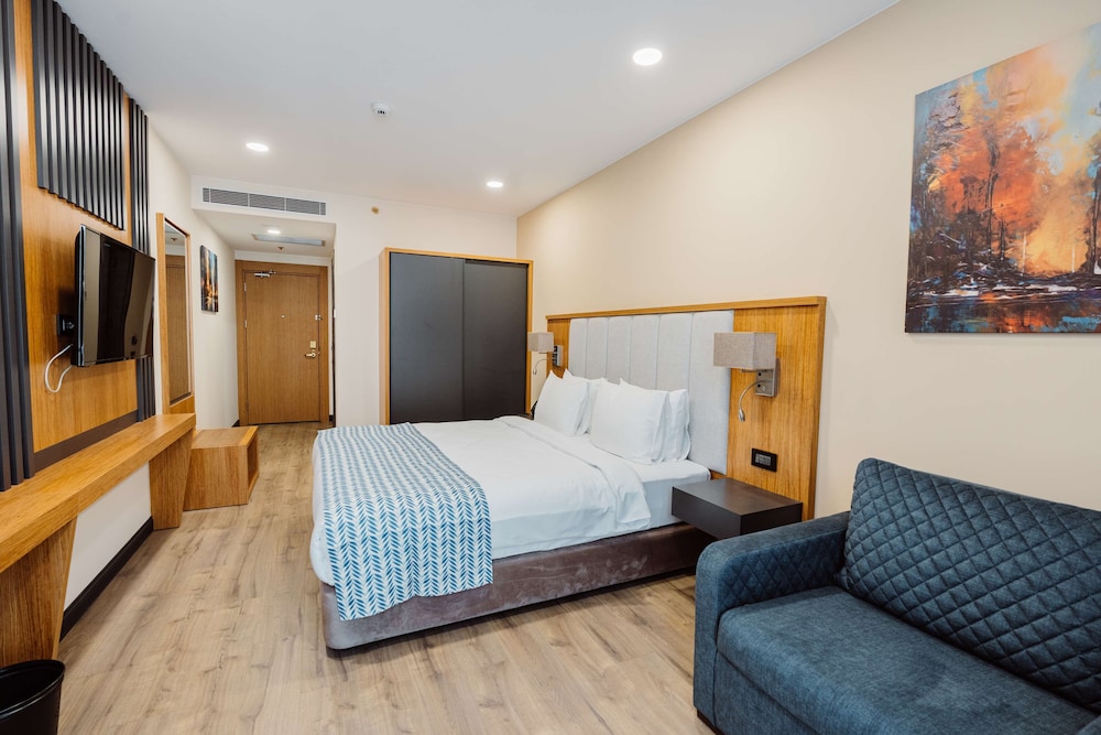 Deluxe Room, 1 King Bed, Non Smoking (with Sofabed) - Photo 3