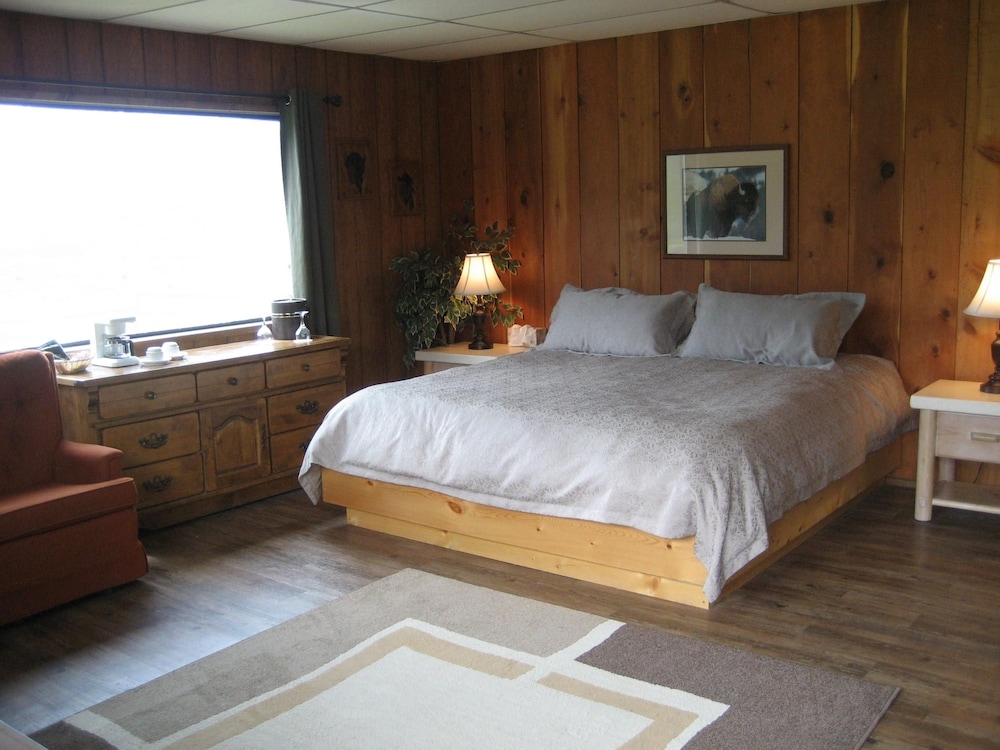 Room, 1 King Bed photo 1