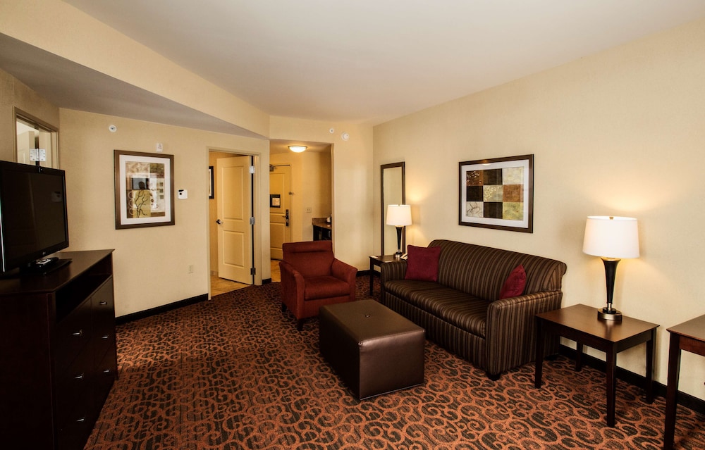 Suite, 1 King Bed, Non Smoking - Photo 1
