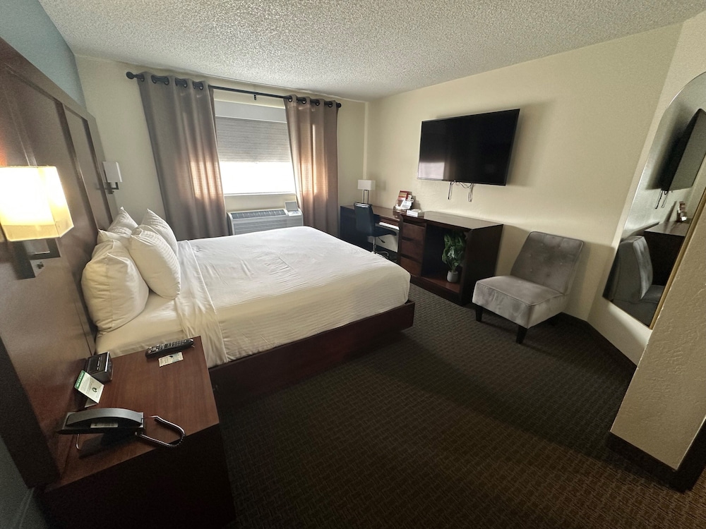 Deluxe Suite (Hotel) (No Pets) photo 2