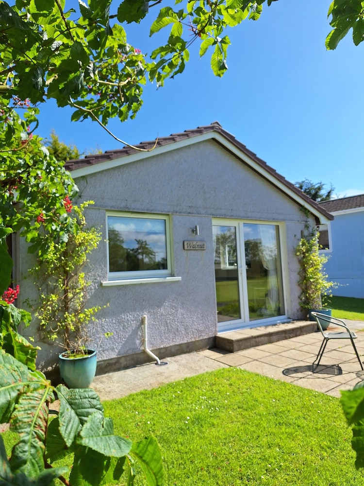 Walnut Bungalow photo 3