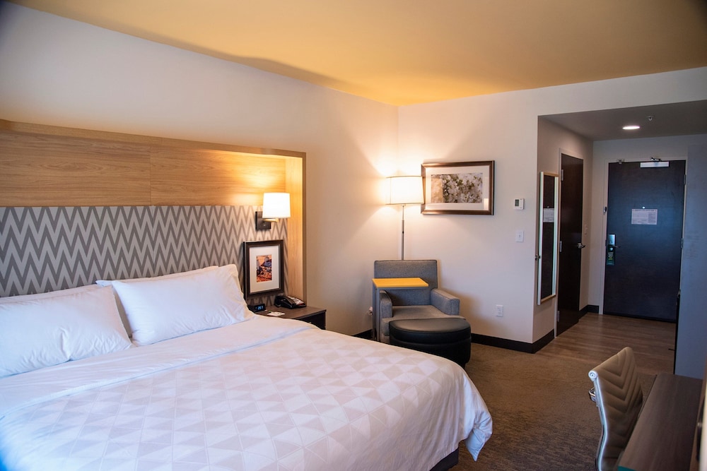 Standard Room, 1 King Bed, Accessible (Communication, Mobility Tub) - Photo 6