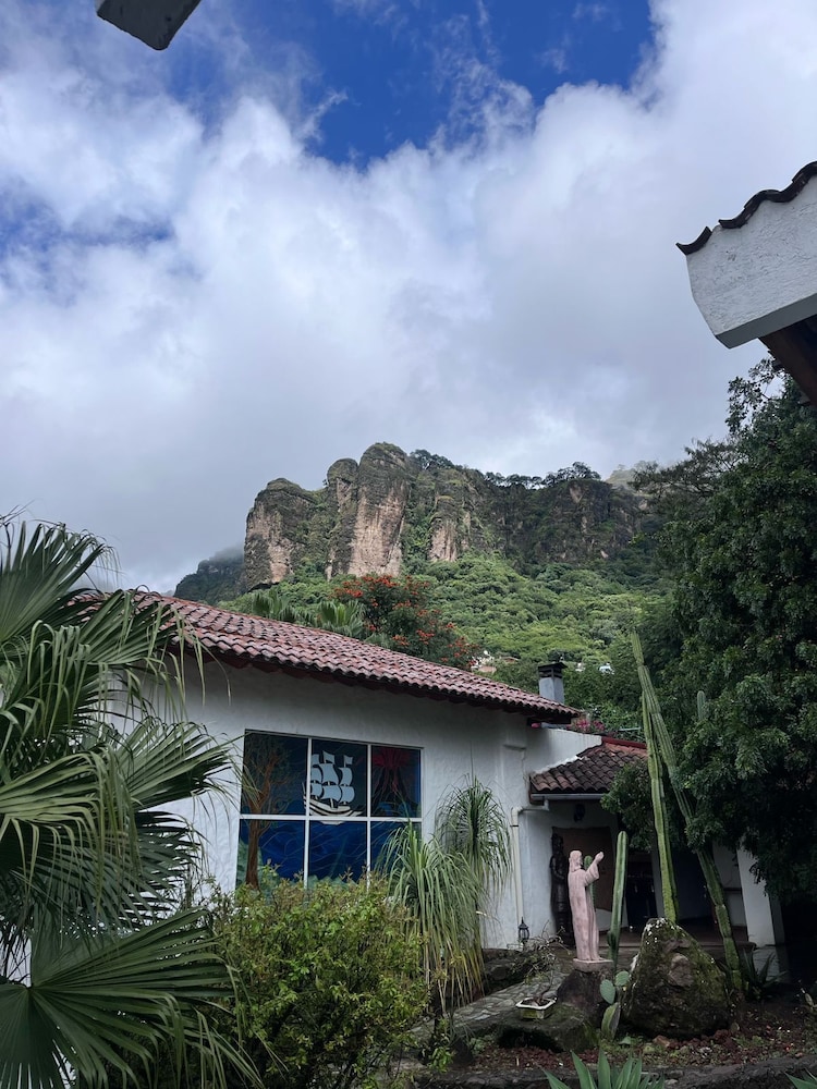 Superior Room, Garden View