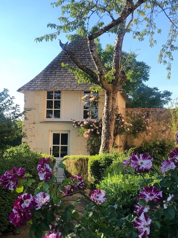 Comfort Room, Garden View