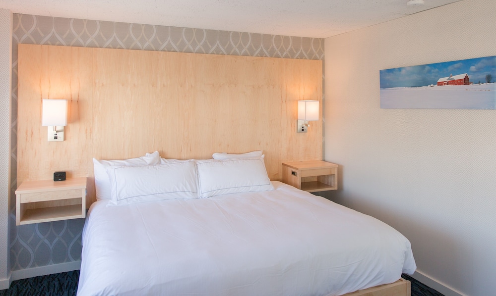 Luxury Studio Suite, 1 King Bed with Sofa bed photo 2