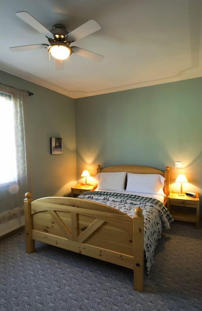 Room, 1 Queen Bed photo 2