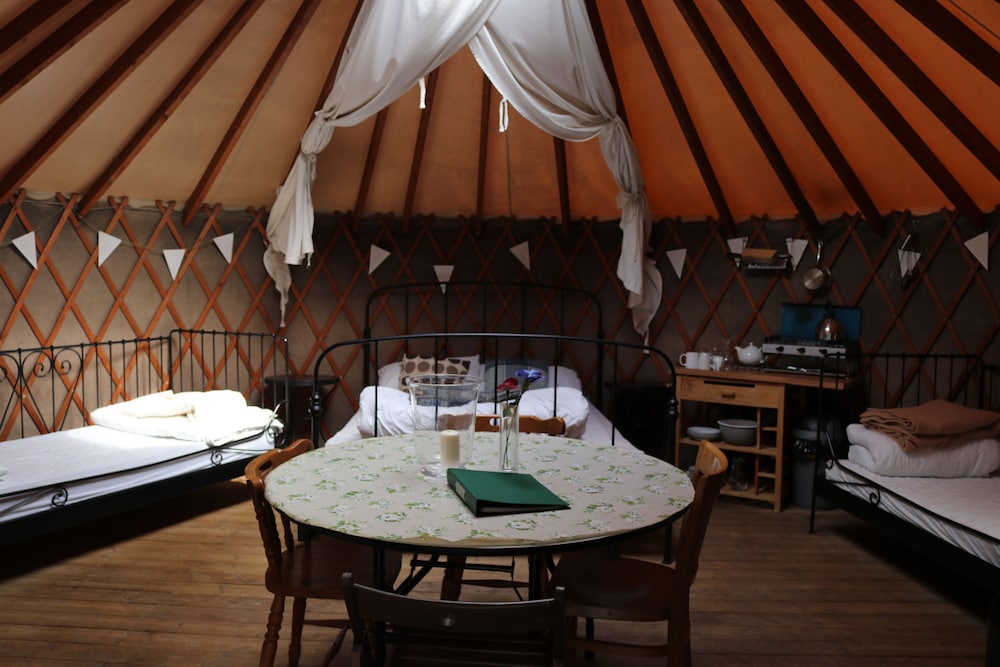 Large Secluded Woodland Yurt photo 2