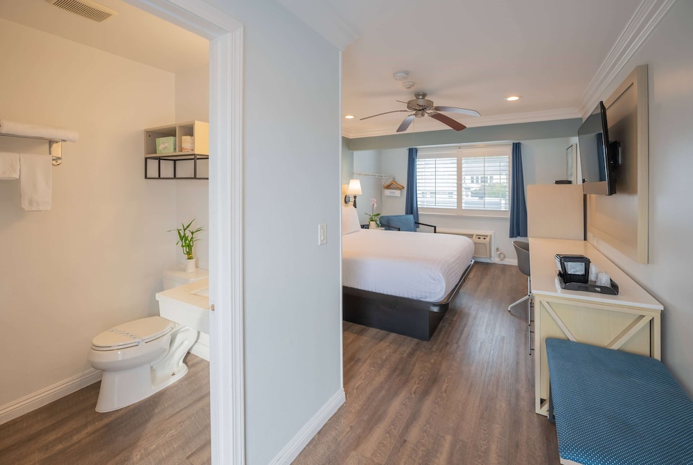 Standard Room, 1 King Bed with Sofa bed, Non Smoking